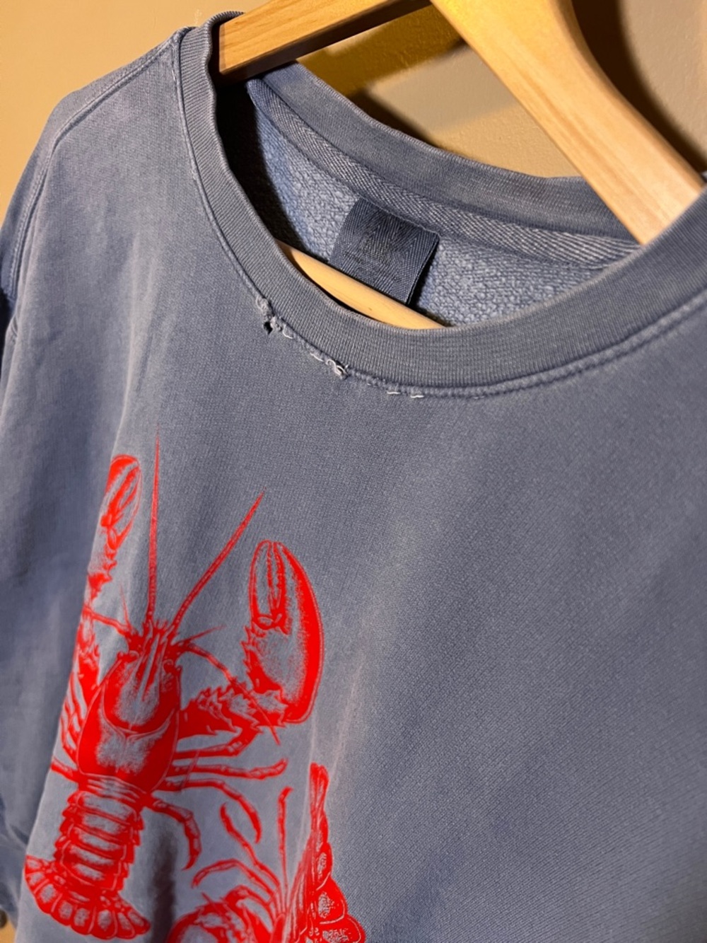 Comfort Colors Distressed Blue Sweatshirt with Red Lobster Print Oversized Fit - Picture 9 of 16